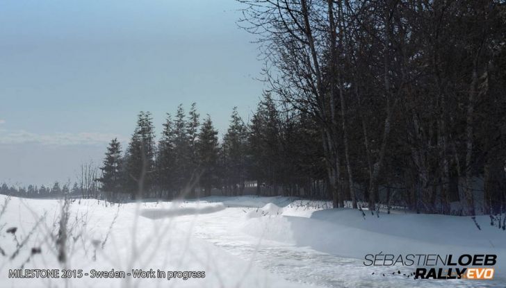 Sébastien Loeb Rally EVO arriva su Steam, Xbox One e PlayStation 4 - Foto 4 di 4