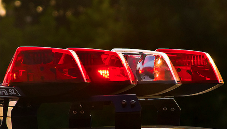 Auto a noleggio utilizzata dai ladri per una rapina in banca - Foto 2 di 8