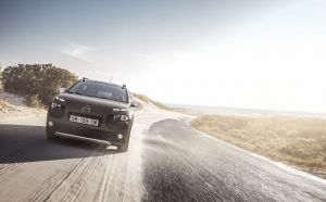 Citroen C4 Cactus Rip Curl (3)