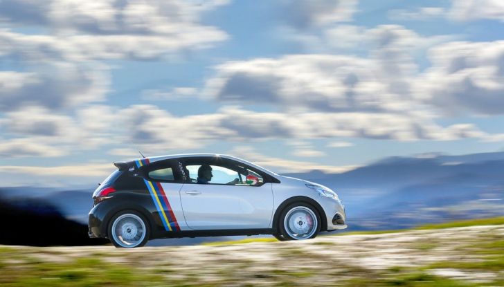 Peugeot 208 GTi/NOVE celebra i record di Peugeot nel CIR - Foto 3 di 13