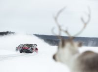 Quattro Peugeot 208 nel mondiale WRX