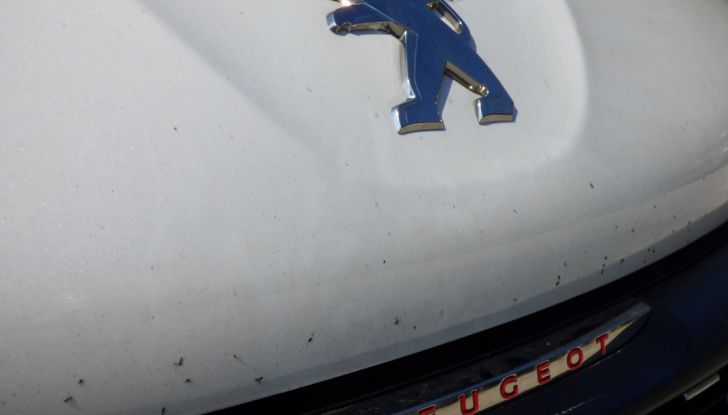 Peugeot 208 GTi by Peugeot Sport: La nostra prova della 208 da 208 CV - Foto 30 di 32