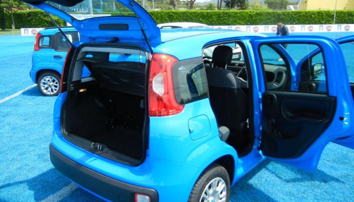 Fiat Pandazzurri