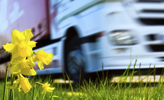 truckEmotion & vanEmotion 2016 si chiude con il record di prove - Foto 7 di 9