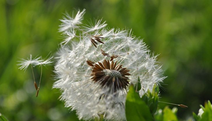 Come pulire e igienizzare l’abitacolo dell’auto: 5 pratici consigli - Foto 5 di 6