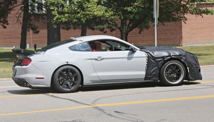 Nuova Ford Shelby GT 500 2018, le prime foto spia - Foto 12 di 19