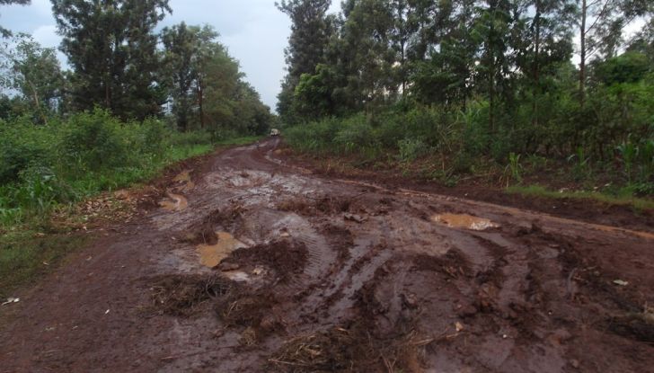 Danni da alluvione: quanto e cosa paga l’assicurazione? - Foto 3 di 8
