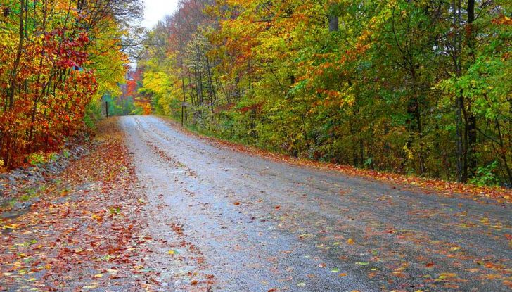 Manto stradale coperto di foglie: come guidare - Foto 2 di 7