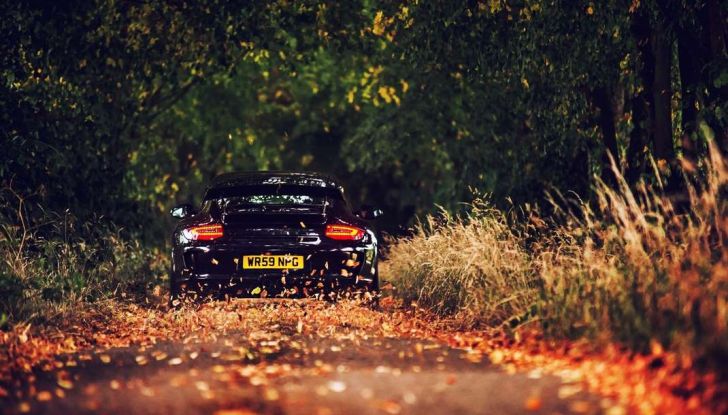 Manto stradale coperto di foglie: come guidare - Foto 7 di 7