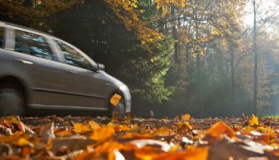 Manto stradale coperto di foglie: come guidare