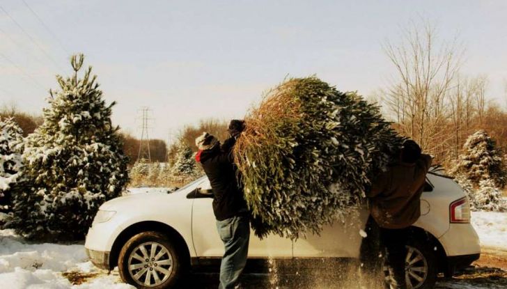 Come trasportare l’albero di Natale in auto senza incorrere in sanzioni - Foto 7 di 9