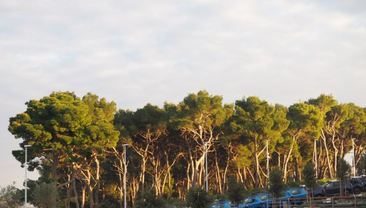 10 buoni motivi per acquistare una Dacia - Foto 19 di 26