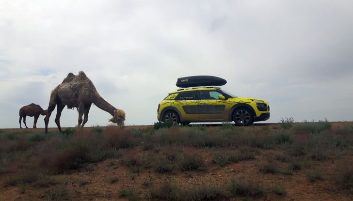 Citroën Avventura Gialla: la C4 Cactus arriva in Kazakistan - Foto 1 di 5
