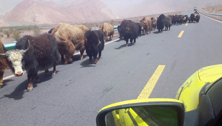 Citroën Avventura Gialla: il confine cinese ed il cambio di equipaggio - Foto 5 di 5