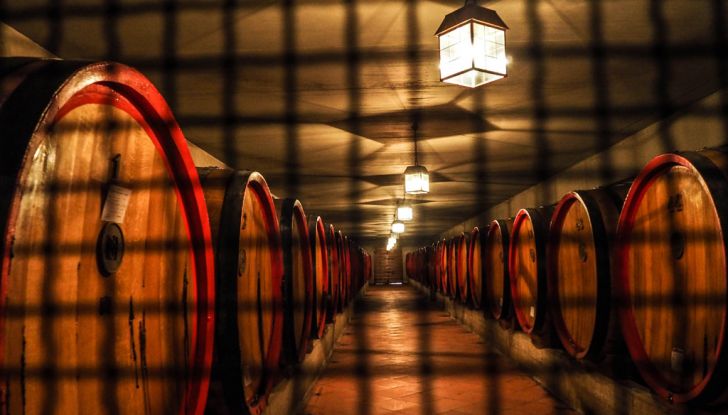 Angelo Nardini - Foto 11 di 19