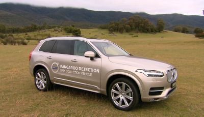Australia, i canguri fanno saltare la guida autonoma Volvo
