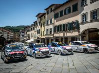 Il trofeo Peugeot Competition Rally 208
