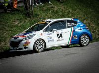 Trofeo Peugeot Competition RALLY 208 – il punto