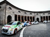 Trofeo Peugeot Competition TOP 208 – il punto
