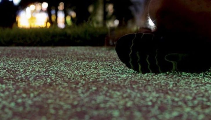 A Singapore l’asfalto si illumina di notte in maniera naturale - Foto 3 di 16