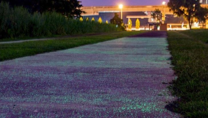A Singapore l’asfalto si illumina di notte in maniera naturale - Foto 4 di 16