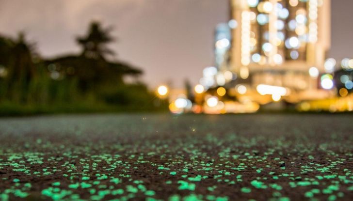 A Singapore l’asfalto si illumina di notte in maniera naturale - Foto 1 di 16