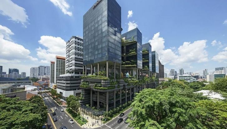 A Singapore l’asfalto si illumina di notte in maniera naturale - Foto 7 di 16