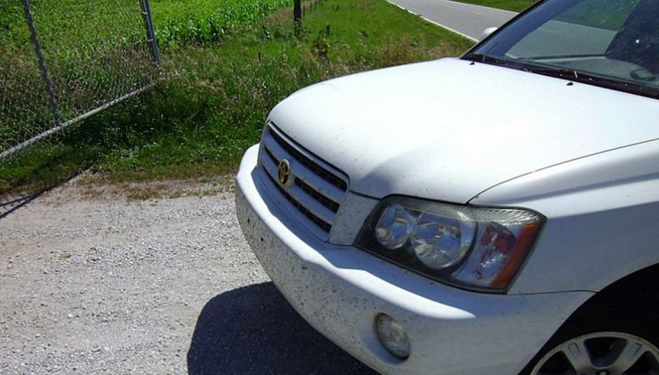 Come rimuovere i moscerini dalla carrozzeria dell’auto - Foto 5 di 8