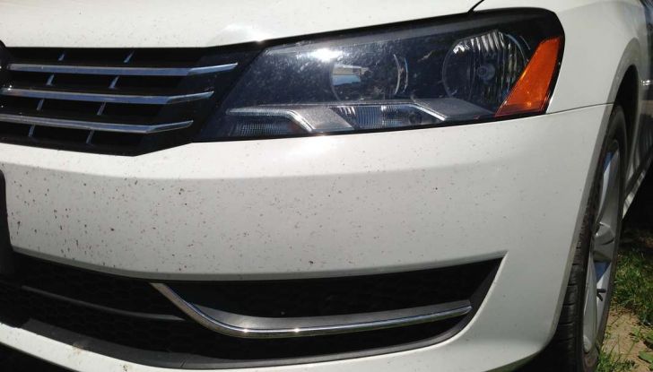 Come rimuovere i moscerini dalla carrozzeria dell’auto - Foto 6 di 8