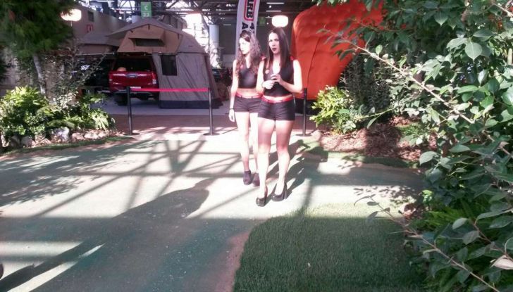 4X4 Fest Carrara dal 12 ottobre 2018 - Foto 15 di 16