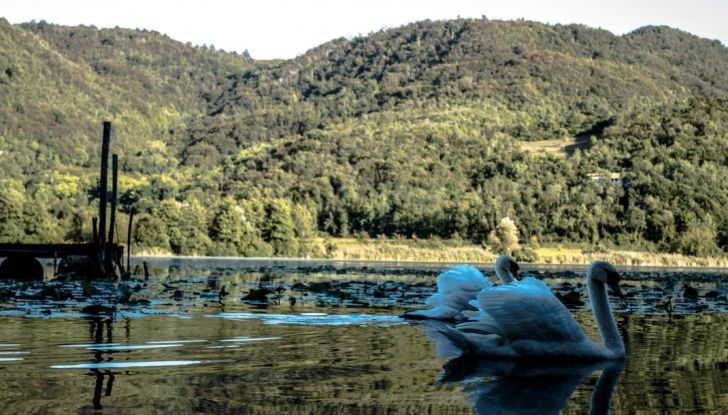 Renault Koleos 2017: Prova su Strada del SUV Senza Limiti con 4×4 e X-Tronic - Foto 28 di 39