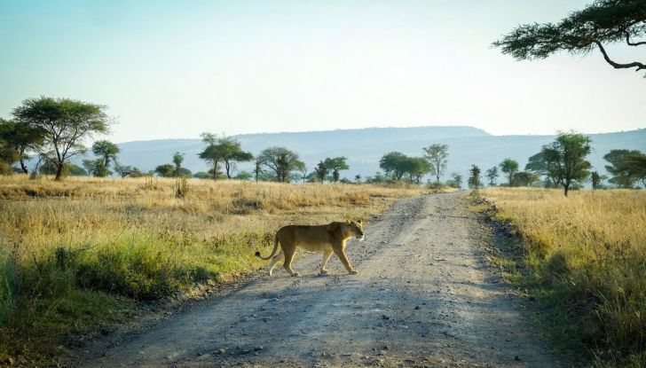 Novità Porsche 2018, arriva Porsche World Expedition - Foto 12 di 15