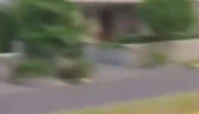 Bambino di 9 anni guida una Ferrari in video