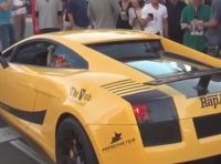 Lamborghini Gallardo guidata da un orso in video