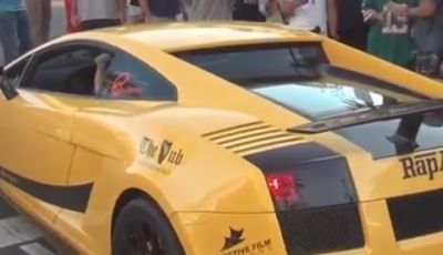 Lamborghini Gallardo guidata da un orso in video