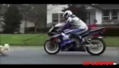 I 10 spot più belli sul motociclismo inediti in Italia