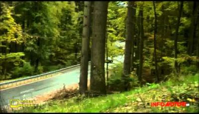 Porsche Cayenne S e-Hybrid il suv premium ibrido