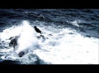 Nuova Mercedes A 45 AMG