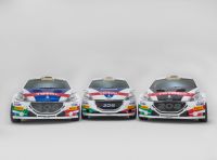 Rally del Ciocco – Peugeot è pronta a difendere i titoli conquistati