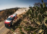 WRC Messico 2018- shakedown: il ritmo giusto per le C3 WRC