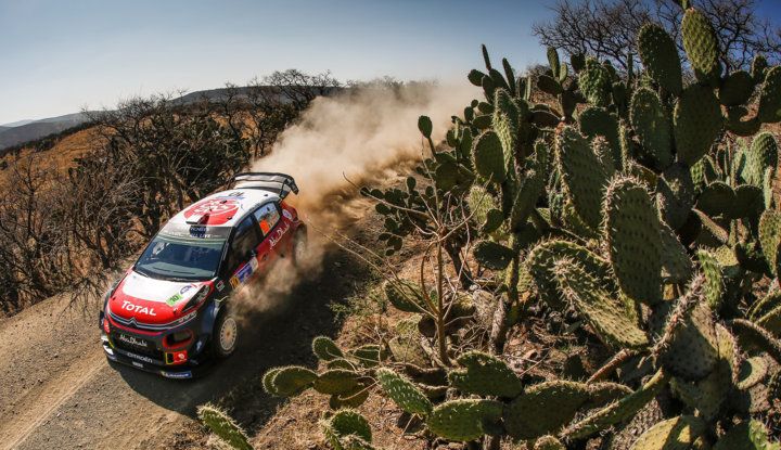WRC Messico 2018- shakedown: il ritmo giusto per le C3 WRC - Foto 1 di 4