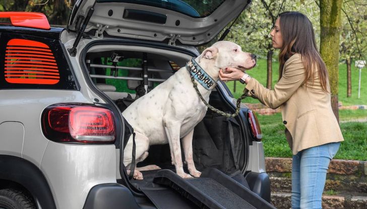Citroën lancia il kit “Pet à Porter” per la sicurezza dei cani in auto - Foto 1 di 25