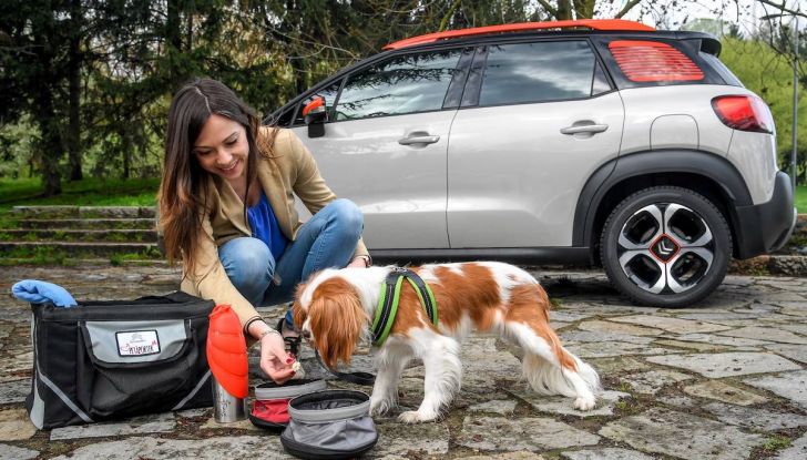 Citroën lancia il kit “Pet à Porter” per la sicurezza dei cani in auto - Foto 13 di 25