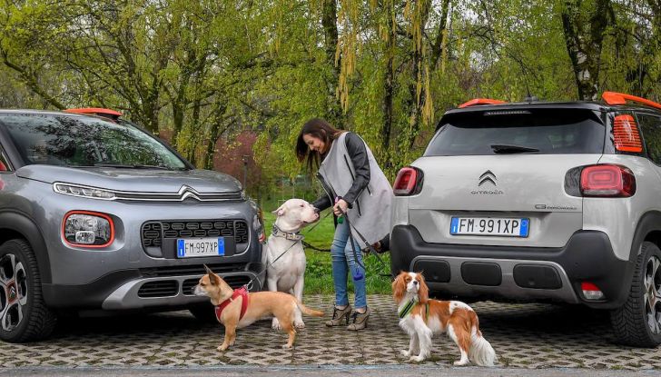 Citroën lancia il kit “Pet à Porter” per la sicurezza dei cani in auto - Foto 16 di 25