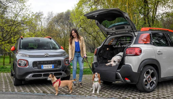 Citroën lancia il kit “Pet à Porter” per la sicurezza dei cani in auto - Foto 18 di 25