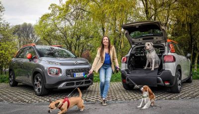 Citroën lancia il kit “Pet à Porter” per la sicurezza dei cani in auto