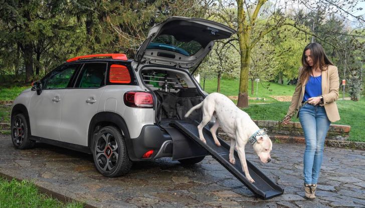 Citroën lancia il kit “Pet à Porter” per la sicurezza dei cani in auto - Foto 2 di 25