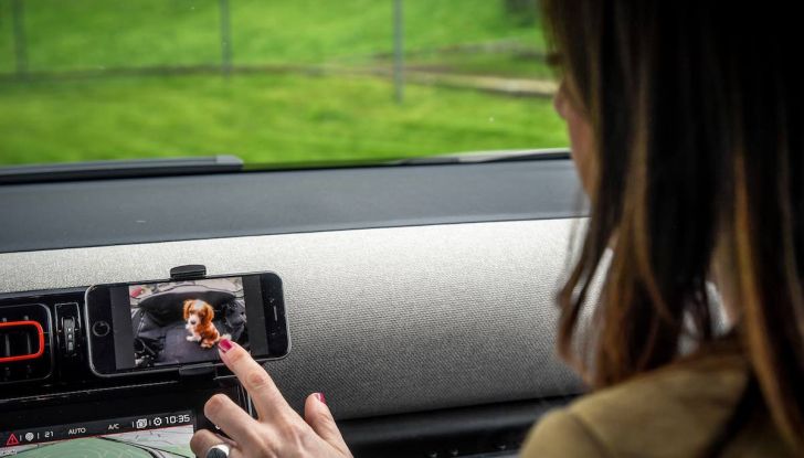 Citroën lancia il kit “Pet à Porter” per la sicurezza dei cani in auto - Foto 25 di 25