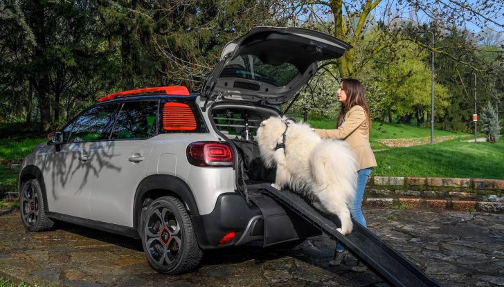 Citroën lancia il kit “Pet à Porter” per la sicurezza dei cani in auto - Foto 5 di 25