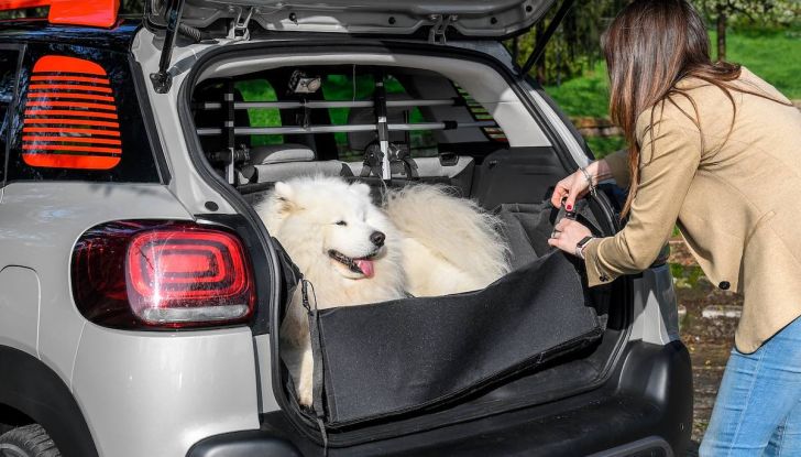 Citroën lancia il kit “Pet à Porter” per la sicurezza dei cani in auto - Foto 7 di 25